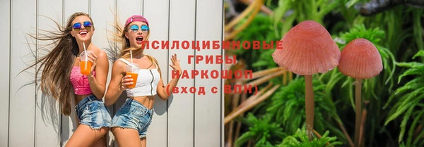 марки nbome Каменка