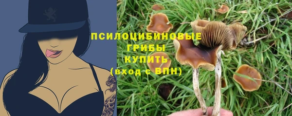 твердый Каменск-Шахтинский
