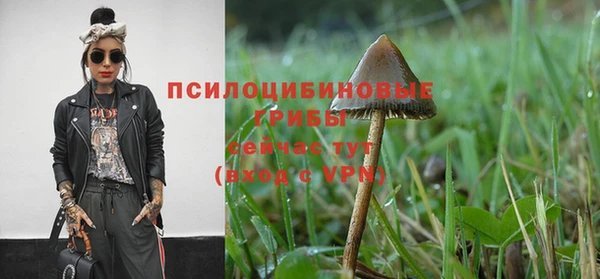 COCAINE Каменногорск