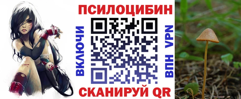 Купить где  Жердевка  Псилоцибиновые грибы Magic Shrooms 