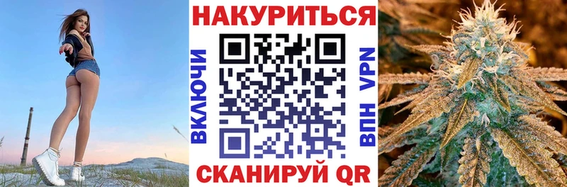 Купить закладки  Жердевка  Конопля MAZAR 